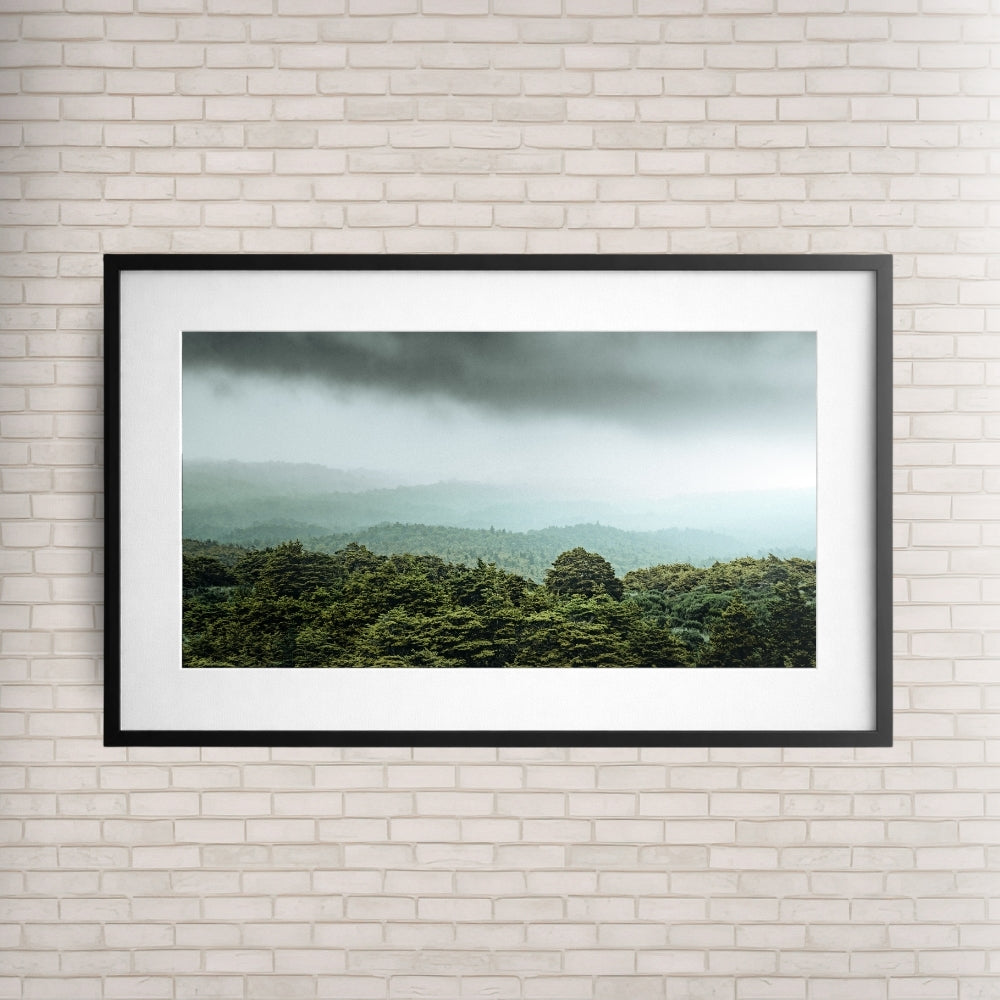 Vagues vertes (Nouvelle-Zélande)