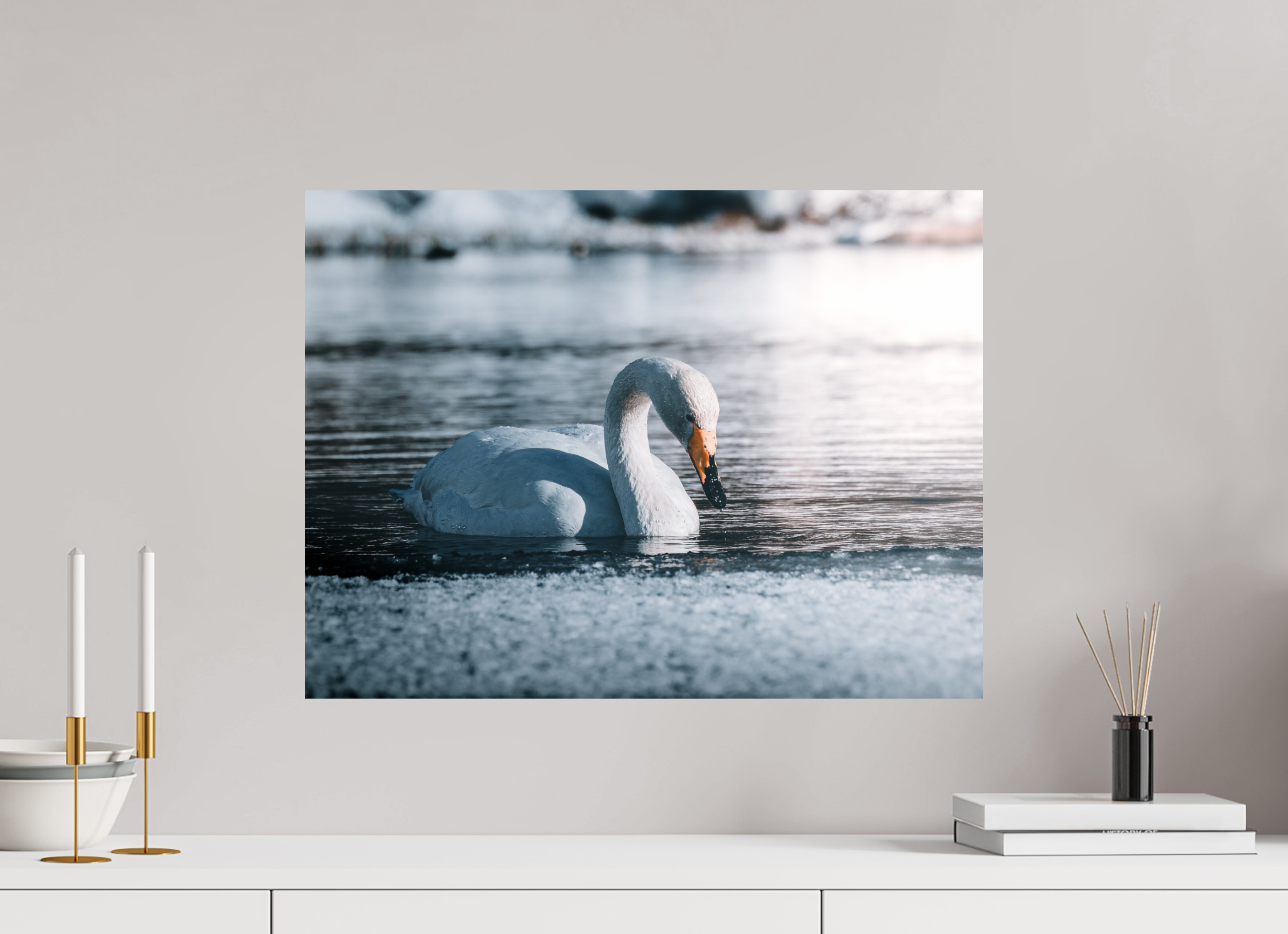 60 x 45 cm, Impression Fine Art Le Cygne (Laponie Finlandaise)