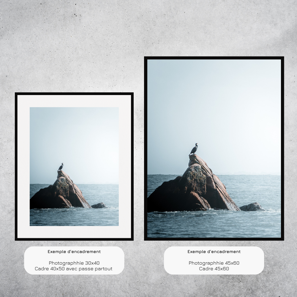 Le penseur (Bretagne)