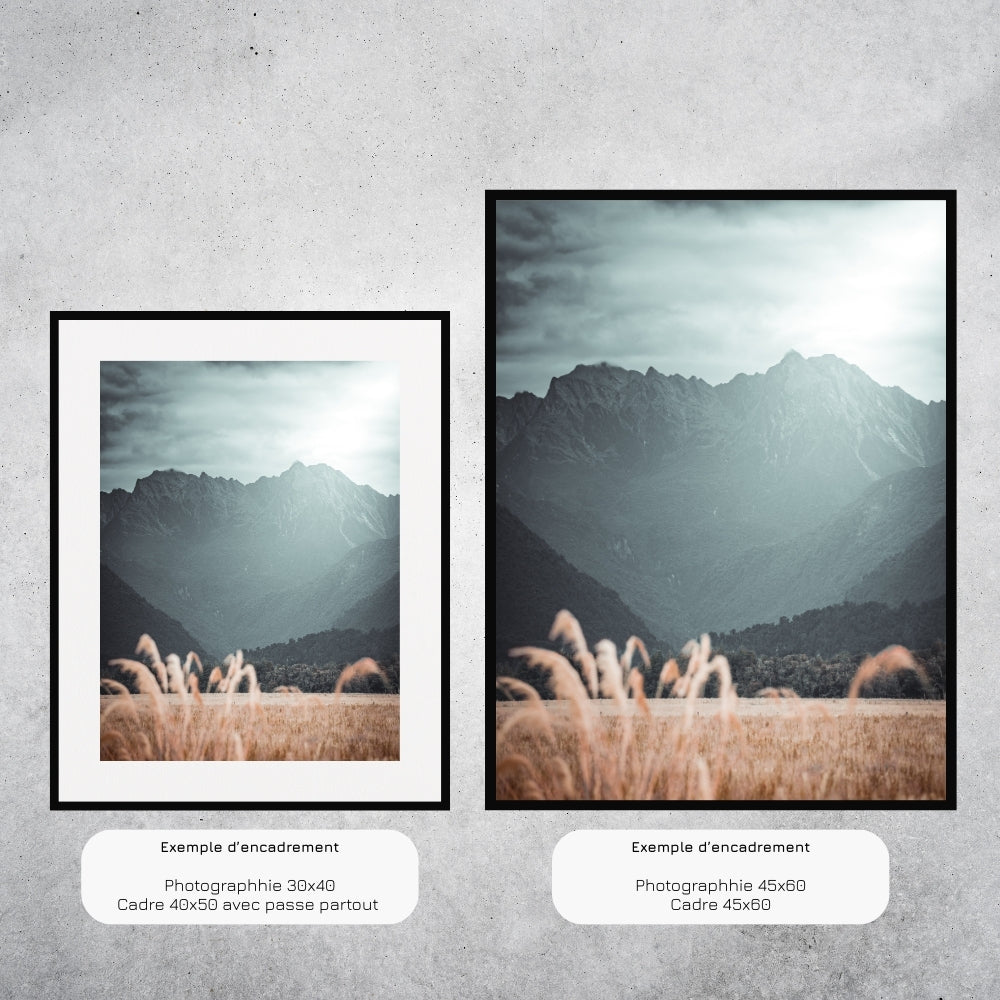 La crête (Nouvelle-Zélande)