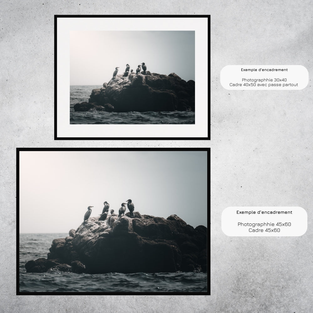 La discussion (France)