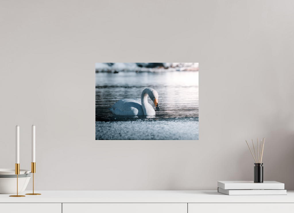 40 x 30 cm, Impression Fine Art Le Cygne (Laponie Finlandaise)