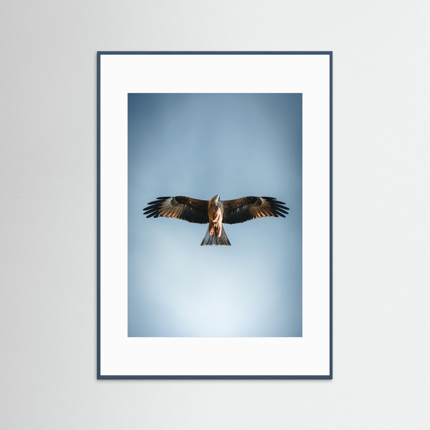 L'aigle (France)