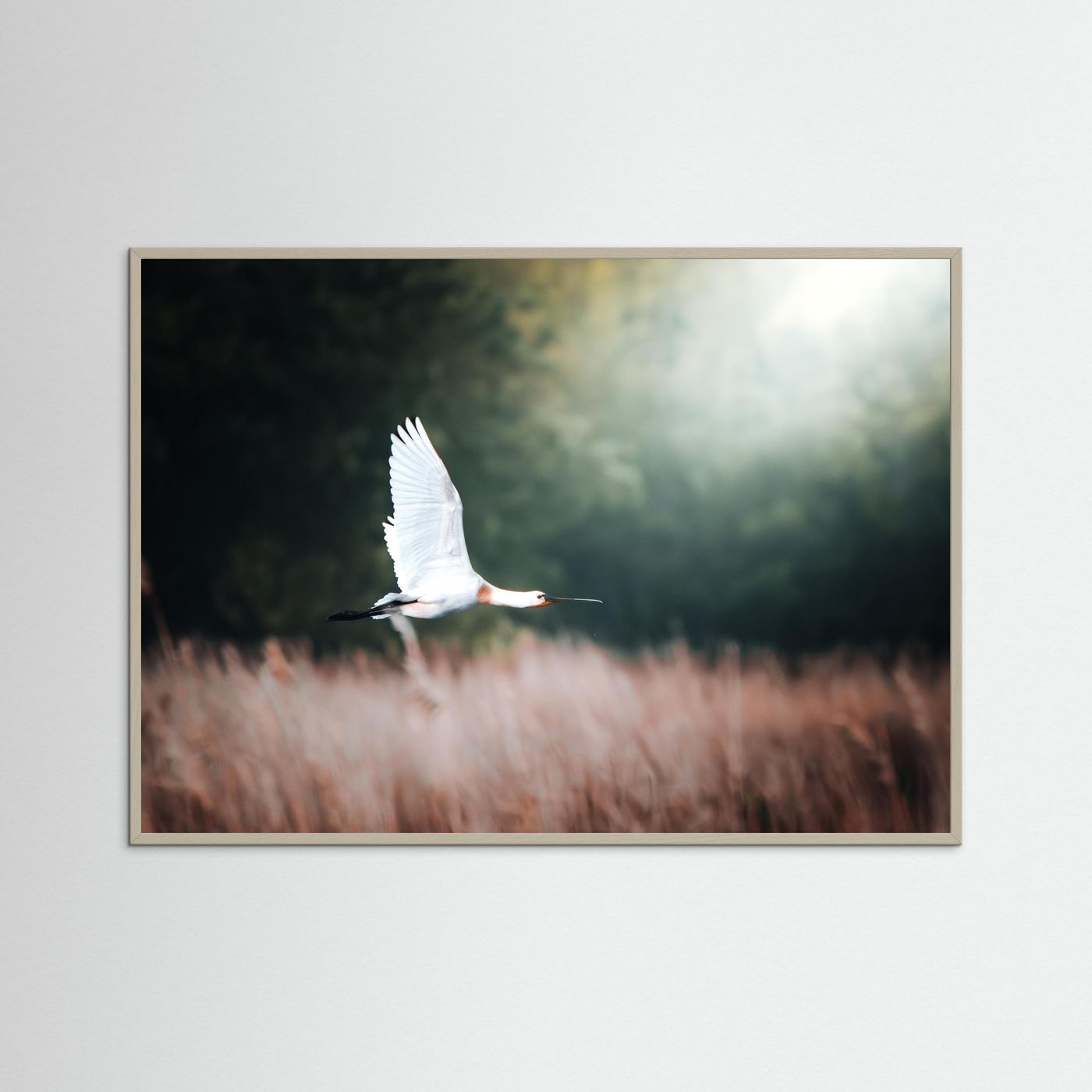 L'envol 2 (Médoc)