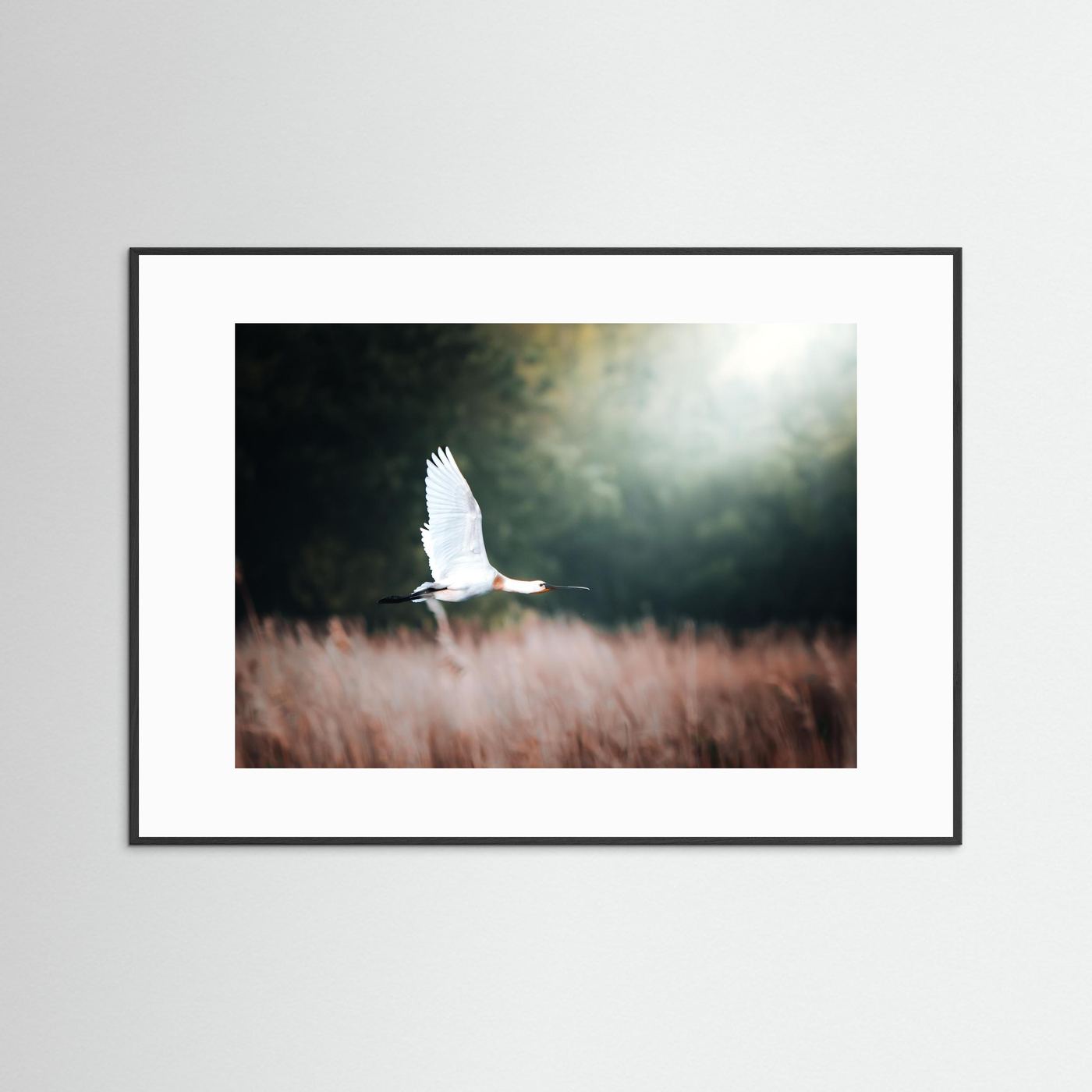 L'envol 2 (Médoc)